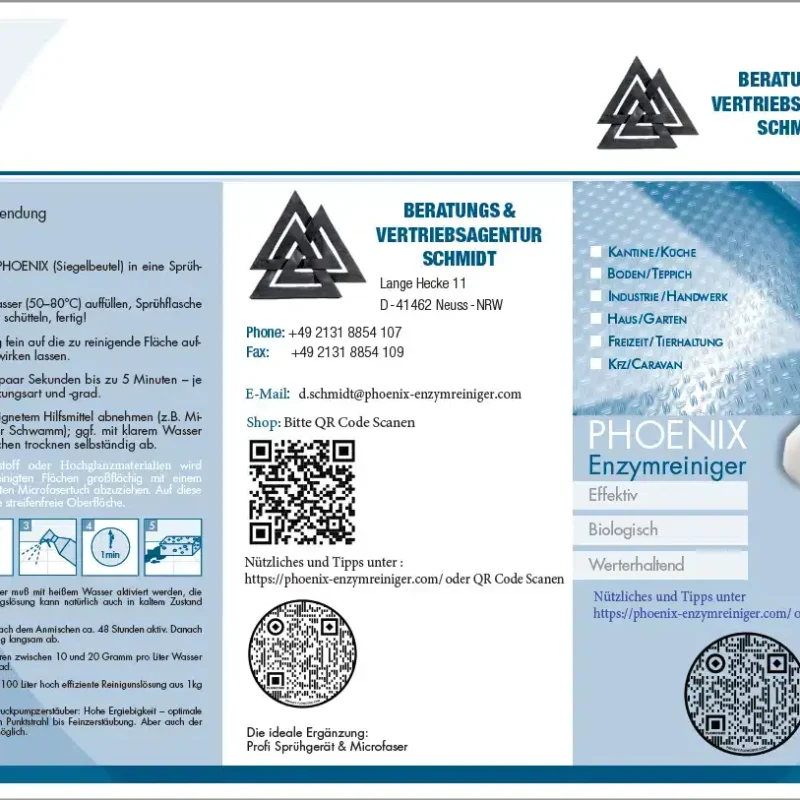 Phoenix Flyer Feb 2021 Seite 1