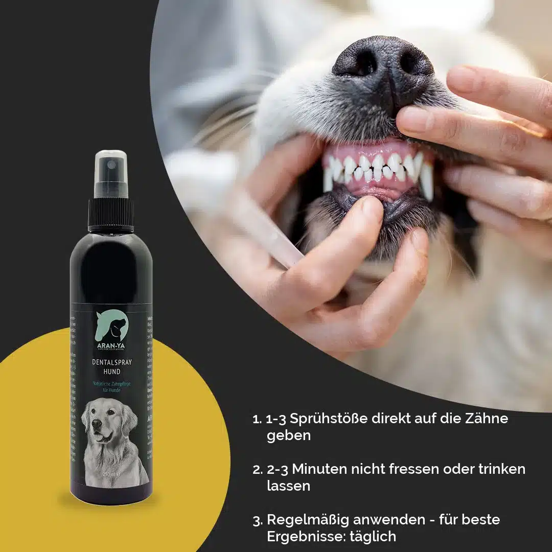 Hundemaul wird zum Einsprühen der Zähne geöffnet, daneben die Flasche ARAN-YA Dentalspray mit Anwendungsschritten