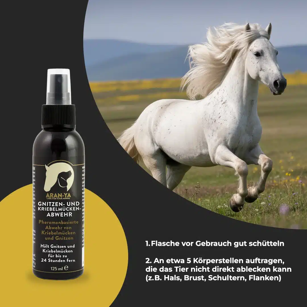 Weißes Pferd galoppiert über eine Sommerwiese, daneben die Sprühflasche ARAN-YA Gnitzen- und Kriebelmückenabwehr mit Anwendungsschritten
