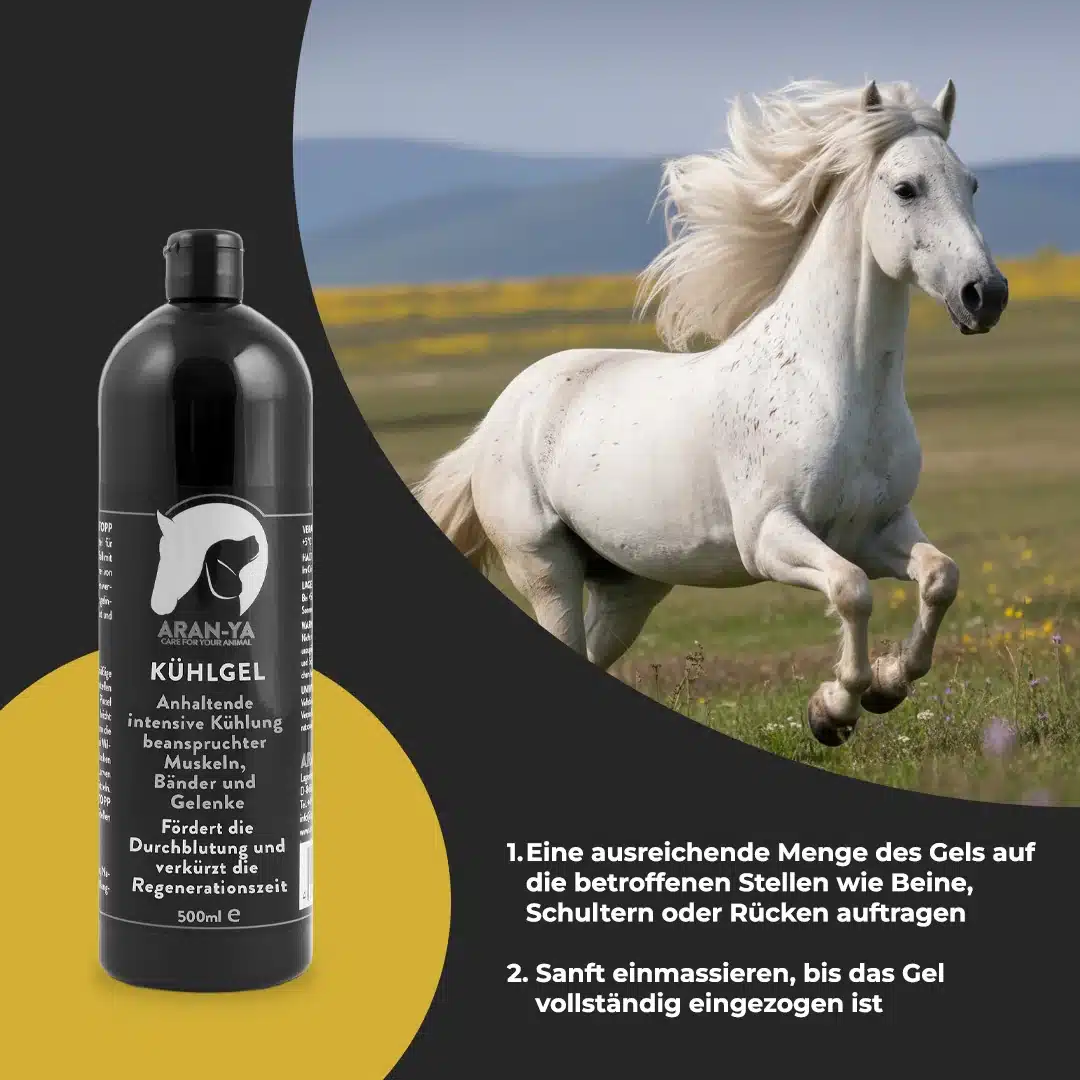Weißes Pferd galoppiert über eine Sommerwiese, daneben die Flasche ARAN-YA Kühlgel mit Anwendungsschritten