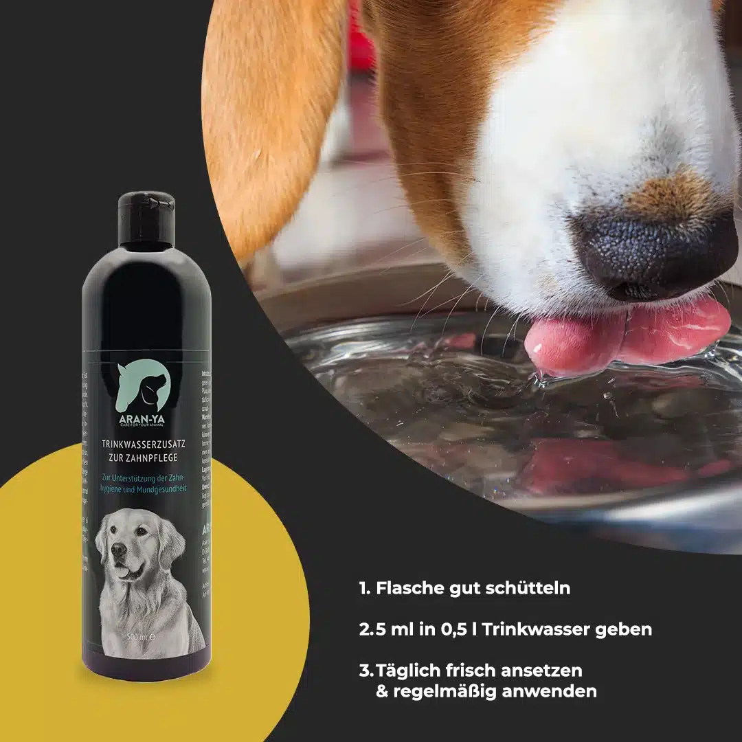 Hund trinkt Wasser aus dem Napf, daneben die Flasche ARAN-YA Trinkwasserzusatz zur Zahnpflege mit Anwendungsschritten