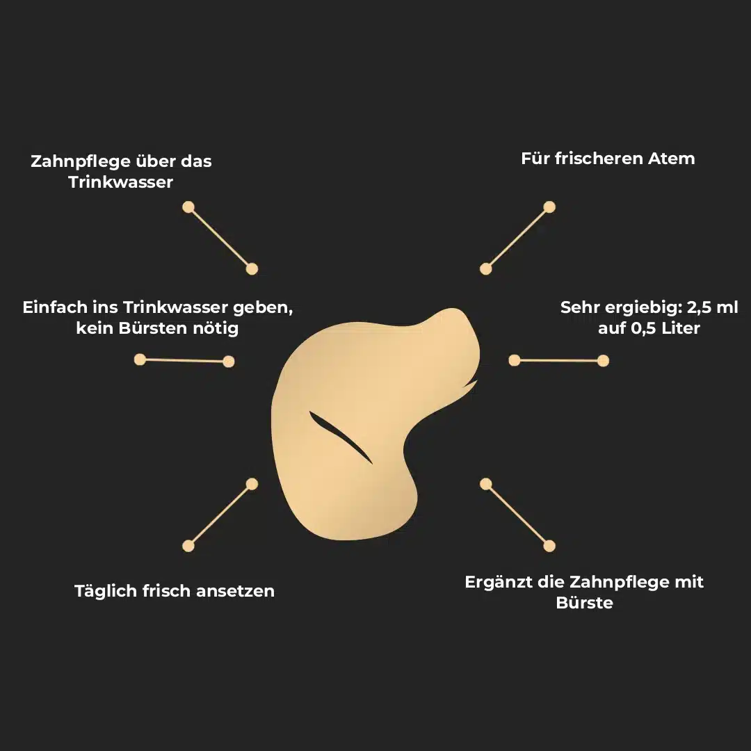 Infografik ARAN-YA Trinkwasserzusatz zur Hundezahnpflege: Fรผr frischeren Atem, Sehr ergiebig: 2,5 ml auf 0,5 Liter, Ergรคnzt die Zahnpflege mit Bรผrste